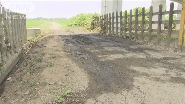 新幹線の高架下で車が全焼…　離れた路上に成人男性の遺体　埼玉・蓮田市