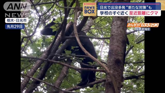 学校のすぐ近くからクマ撮影　日光で出没多発“新たな対策”も