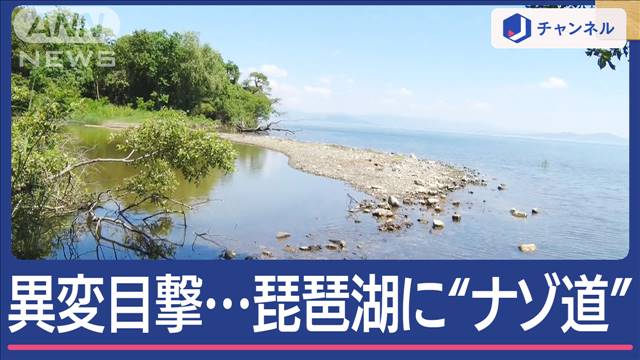 なぜ？琵琶湖に突然ナゾの道が出現…大量盛り土で幅3m長さ70m「自分がやりました」