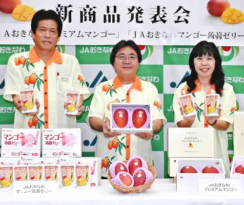 マンゴー　二つの新商品ＪＡおきなわ販売　糖度自慢「プレミアム」　規格外で「蒟蒻ゼリー」　