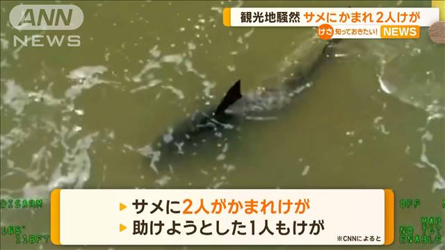 観光地騒然…サメにかまれて2人けが　アメリカ・テキサス州