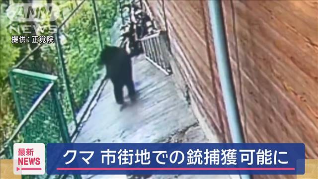 銃でクマ捕獲　市街地でも可能に　新たな方針