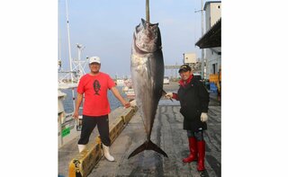 演歌歌手・福田こうへいさん 　130㎏のマグロを釣り上げる　「”マグロ様”に選ばれた」 　30分余り格闘