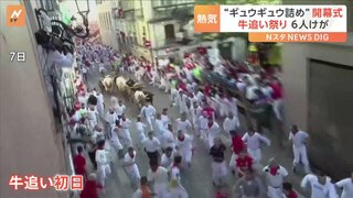 時には死者も…過激な「牛追い祭り」が開幕　初日は牛の角に突かれた1人を含む6人がけが