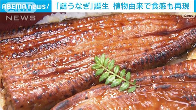 漁獲量が減る中…　植物由来の「謎うなぎ」登場　カップヌードルのあの肉と同技術で