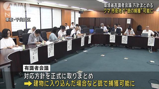 市街地のクマ 銃での捕獲可能に　環境省の有識者会議が対応方針