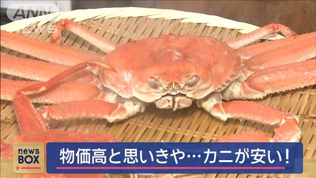 “海の厄介者”のはずが…美味しい！ 物価高と思いきや“カニ”が安い