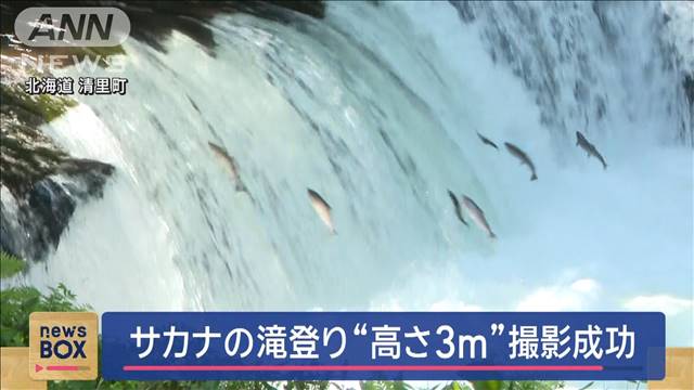 サカナの滝登り“高さ3m”撮影成功　北海道清里町