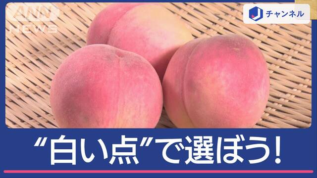 今が旬！桃の“美味しい”選び方　ポイントは…皮？大きさ？硬さ？