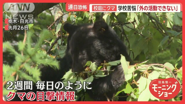 恐怖！クマ出没急増　人気観光地・日光に異変…学校の苦労　市街地での猟銃使用緩和へ