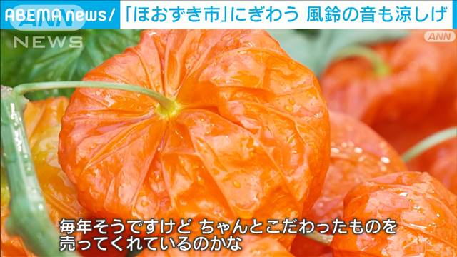 浅草寺 夏の風物詩「ほおずき市」にぎわう　