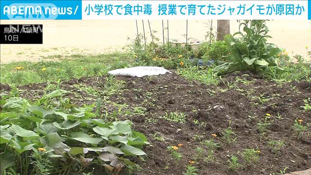 小学校で児童7人が腹痛の症状　軽度の食中毒　鳥取