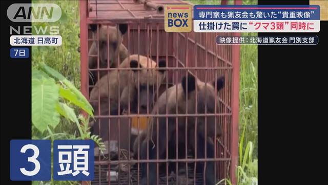 仕掛けた罠に“クマ3頭”同時に　専門家も猟友会も驚いた“貴重映像”