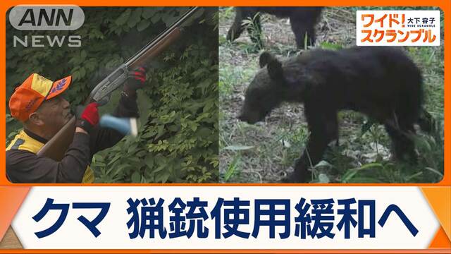 クマの目撃相次ぐ　市街地での猟銃使用緩和へ　過去最多の人身被害…不安要素も