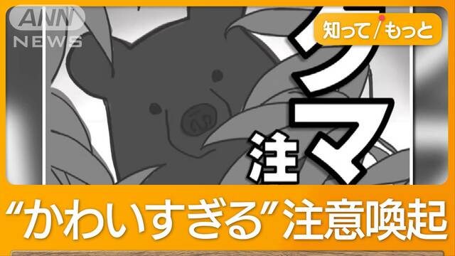 クマ注意チラシ“かわいすぎ”秋田県議会で指摘　つぶらな瞳のクマが、ひょっこり…