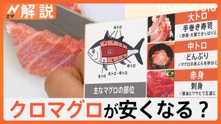 「美味しくてとろけます」マグロの王様が安くなるかも？ クロマグロ漁獲枠拡大なるか【Nスタ解説】