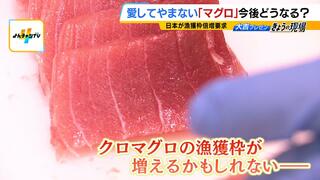 【マグロの今後】“王様”クロマグロの漁獲枠は増えるか！？　ねっとり甘い“赤いダイヤ”ミナミマグロにも熱視線