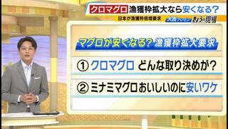 『クロマグロ』が安く買える日が来るかも！？近年は資源量が増加傾向　一方で専門家の“推し”は「知名度は低い」がお手ごろな『ミナミマグロ』