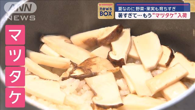 暑すぎて…もう“マツタケ”入荷　夏なのに野菜・果実も育ちすぎ