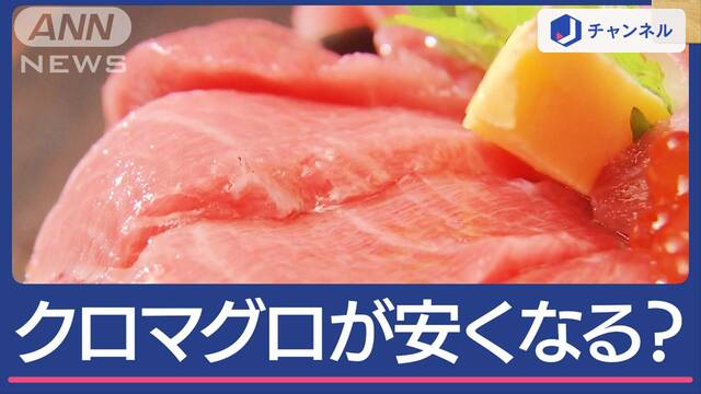 漁獲枠1.5倍に “黒いダイヤ”クロマグロが安くなる？