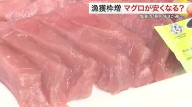 「脂の甘さが違う」漁獲枠増でクロマグロは安くなる？水揚げ日本一の塩釜市は〈宮城〉