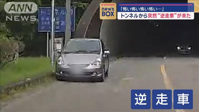 「怖い怖い…」トンネルから突然“逆走車”　ライトもつけず…