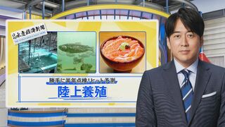 2024年ヒット予測の「養殖魚」…“代理親養殖”からイチゴで育つサーモンまで「陸上養殖」が戦国時代に突入【THE TIME,】