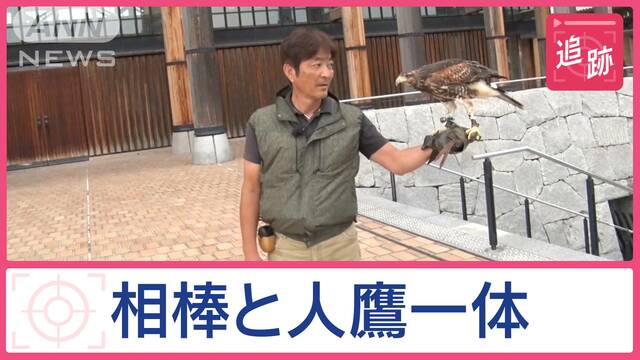 鳥の被害続出…鷹匠に依頼殺到　フン害サギに凶暴カラス、ムクドリ軍団との壮絶バトル