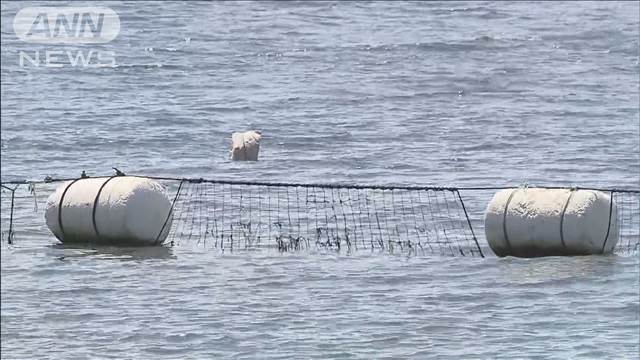 「姉が足の着かないところまで行って…」海水浴場で中学生が溺れ死亡