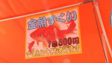 【何が】金魚すくいが500円・たこ焼きが700円に…値上げの波が“夏祭りの屋台”に「家で作った方が安い…」　