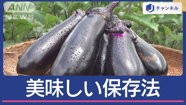 旬の夏野菜「ナス」おいしい＆“便利”な保存法　プロが解説