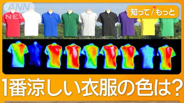 猛暑しのぐのは何色の服？科学的に検証　「白」の次に涼しい「黄」　「深緑」は要注意