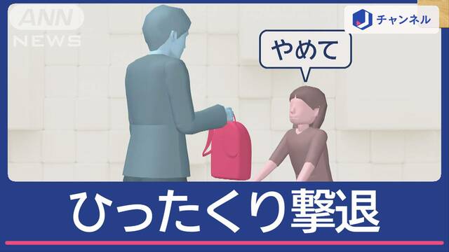 小学3年の女の子がひったくり撃退 自称アメリカ人（25歳）を逮捕