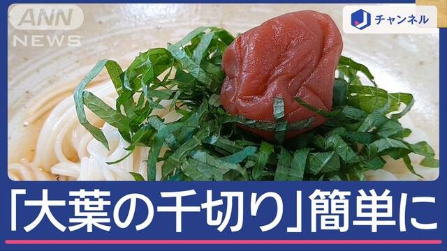 ひと手間＆口当たり良し　夏の料理に！　「大葉」の千切り簡単にできる方法