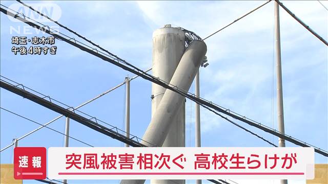 埼玉で突風被害相次ぐ　倒木などの被害