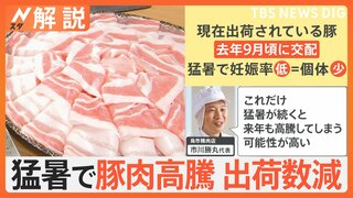 このままだと高級食材に…猛暑で豚肉価格が高騰、“豚の子づくり”に影響も【Nスタ解説】