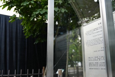 葉の変色に続き説明板も故障　被爆アオギリ受難、扱いに疑問の声も