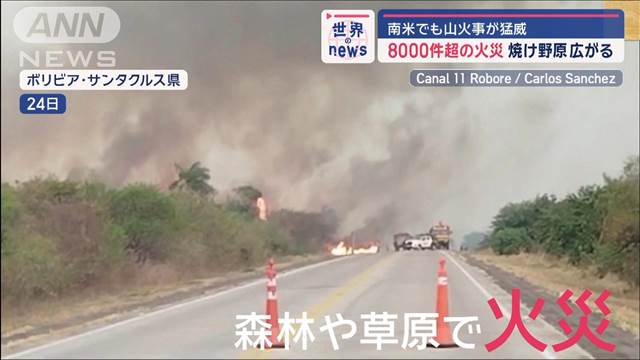 南米で山火事が猛威　8000件超の火災　焼け野原広がる