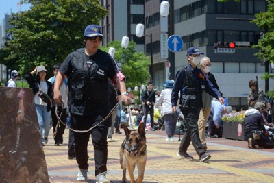 選挙遊説や大規模イベント…警備部門で活躍　警察犬の現状と課題