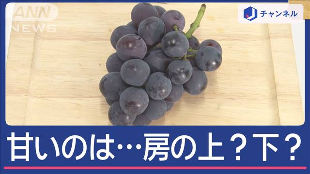 ぶどう、甘いのは房の上？下？　どっちから食べると…よりおいしい？