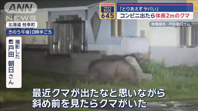 怖い！コンビニ出たら体長2mのクマ「とりあえずヤバい」　防カメにもウロウロ姿