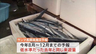 サンマは今年も“高値”の見通し 来遊量は「去年と同水準」と水産庁予報　海水温上昇の影響で歴史的不漁続く