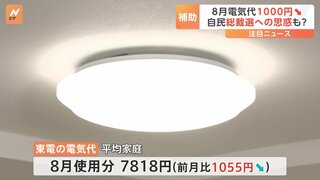 8月の電気代が1000円程度値下がり 政府が補助金を再開　自民総裁選へ“バラマキ政策”の思惑も