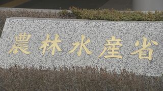 上半期の農林水産物と食品の輸出額は7013億円と4年ぶりに減少 一方「コメ」や「牛肉」などは過去最高額に