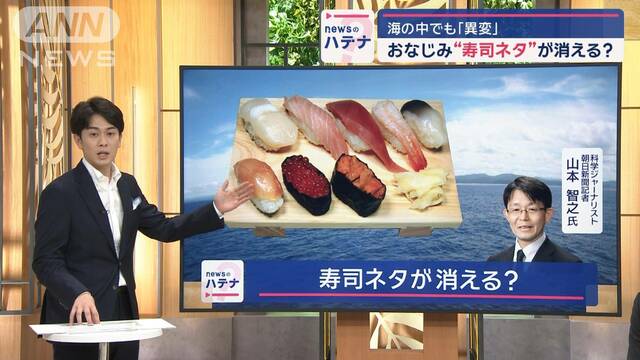 海の異変でおなじみの“すしネタ”が消える？　専門家に聞く「未来予想図」