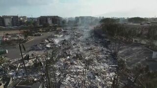 ハワイ・マウイ島の山火事　州や電力会社などが和解金5900億円支払いで基本合意　発生から1年を前に