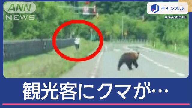 目の前にクマ出現…その先に“人”が　「逃げろ！」夏の観光地“閉鎖”