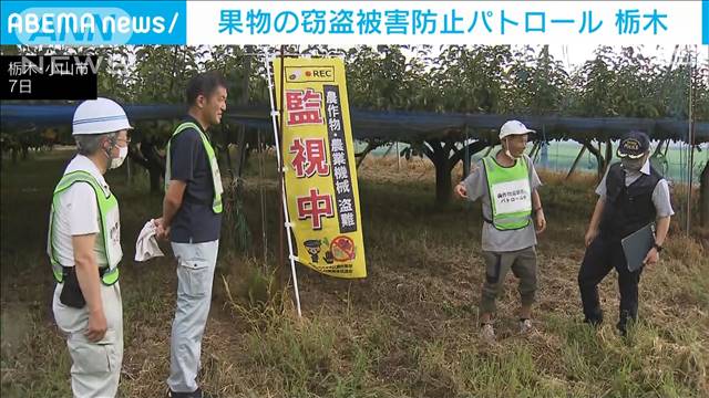 梨など果物の窃盗被害防止パトロール 栃木