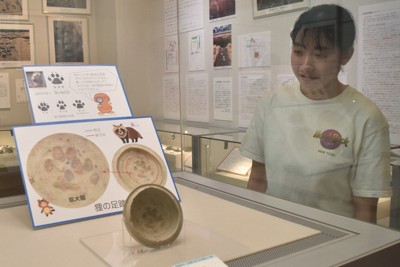 古代人も可愛いもの好き?　タヌキの足跡付き土器がSNSで話題