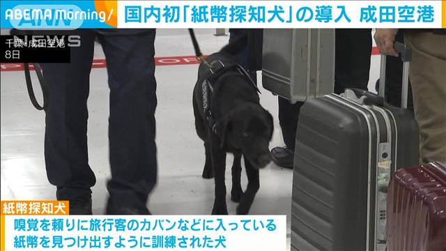 国内初「紙幣探知犬」の導入　高額な現金など不正な海外持ち出しを防ぐ　成田空港